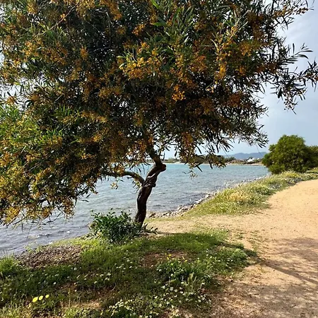 Casa Matilda Sul Mare Tatil Evi