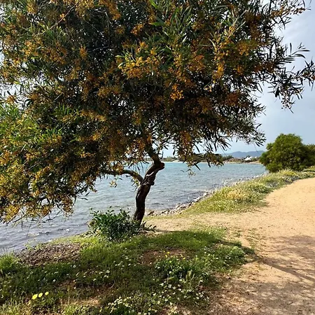 Casa Matilda Sul Mare Holiday home