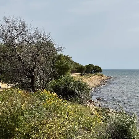 Casa Matilda Sul Mare Holiday home *